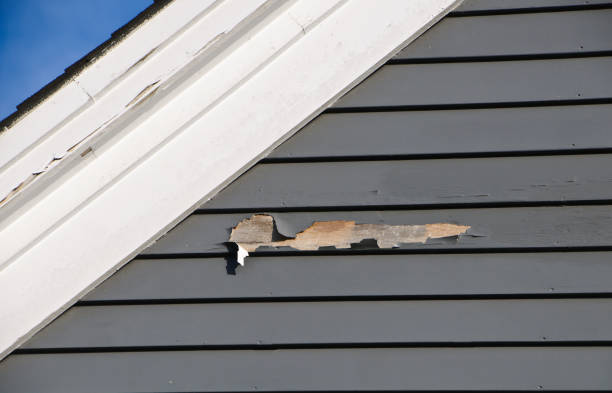 Best Storm Damage Siding Repair  in Lakeside, VA